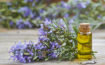 Rosemary essential oil