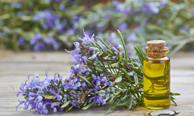 Rosemary essential oil