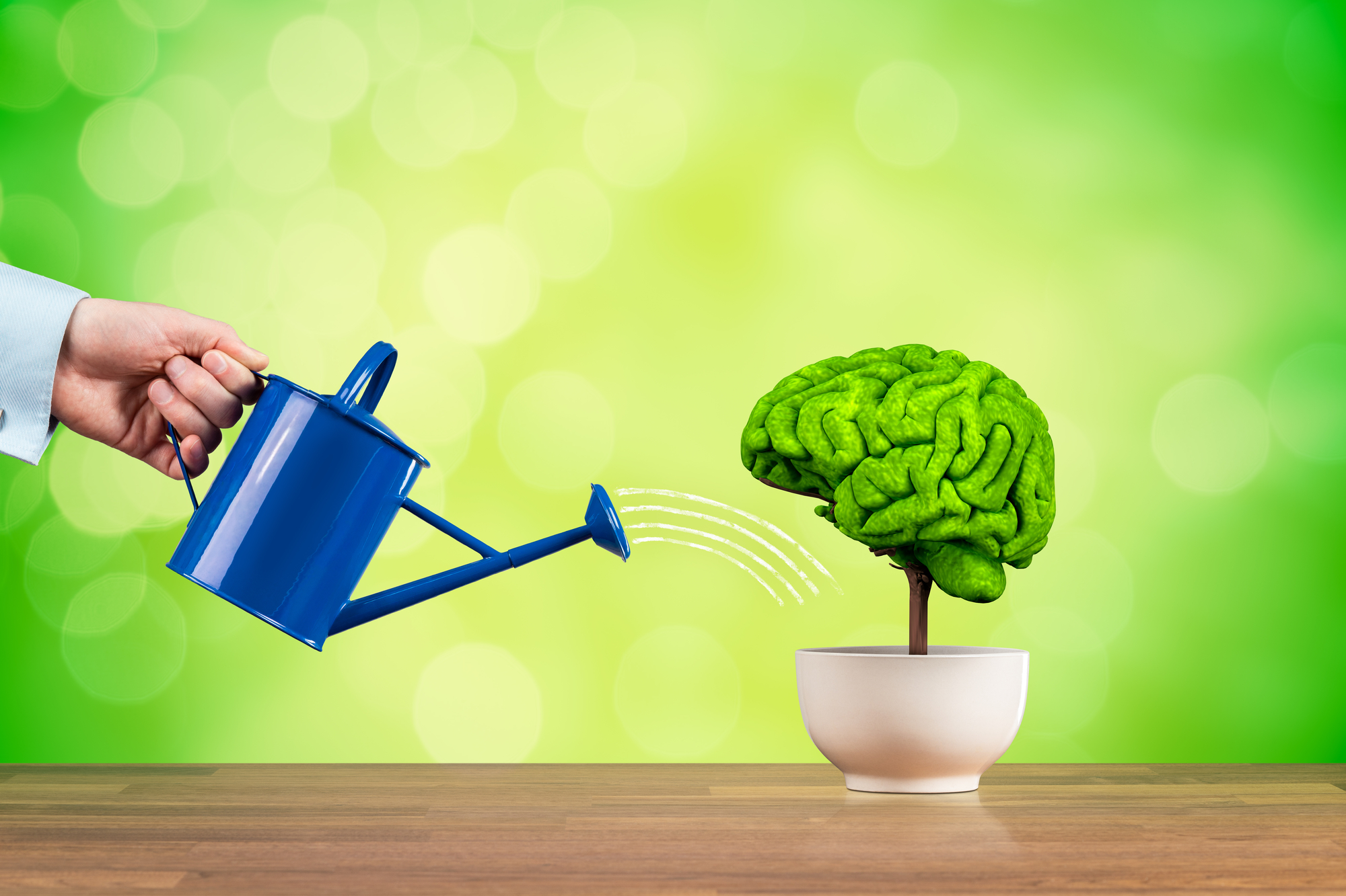 8 Products To Improve Memory Feed Your Brain Health Blog 